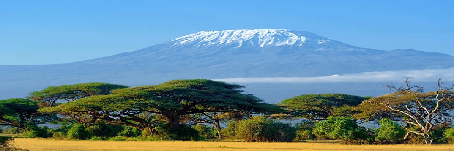 Top Tanzania safari destinations to visit in 2026, 2027 and 2028