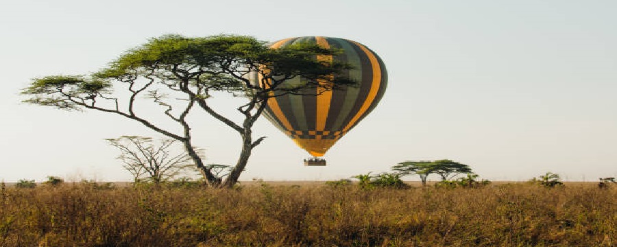 Best luxury Serengeti safari tour packages