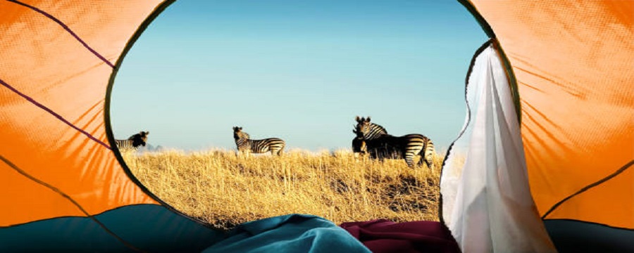 3 days Serengeti safari vacation