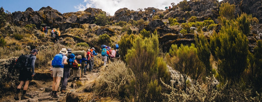 Umbwe route on Mount Kilimanjaro trekking